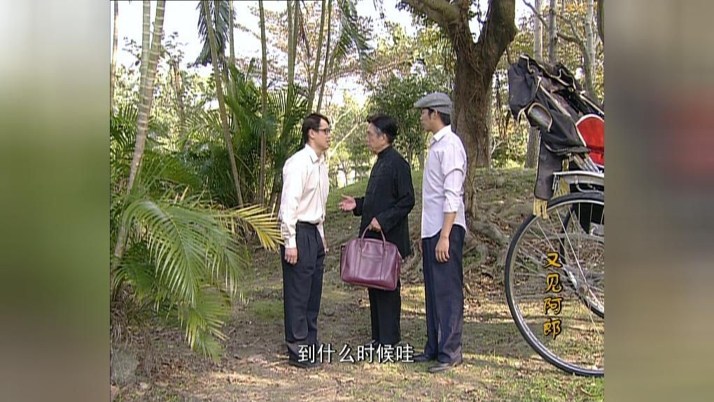 又见阿郎 第31集视频封面图