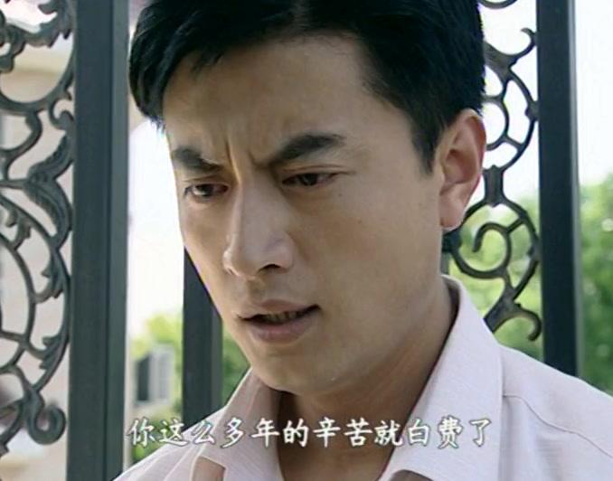 悠悠寸草心 第30集视频封面图