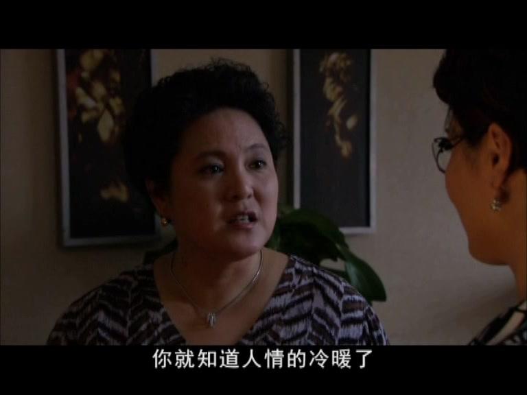 儿女情更长 第9集视频封面图