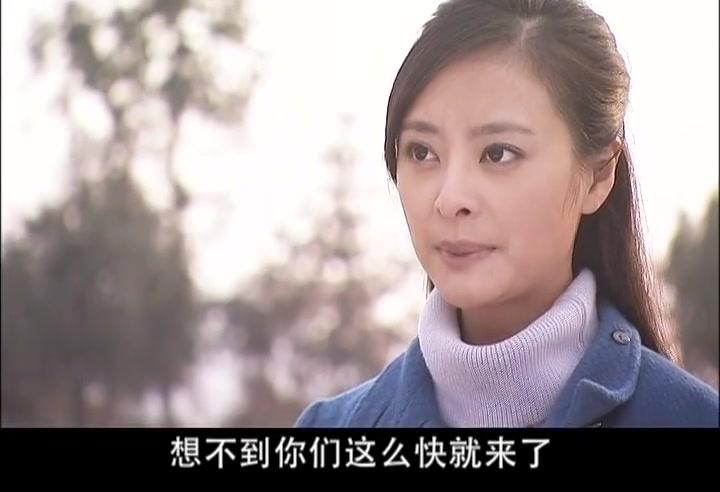 婚姻那些事儿 第27集视频封面图