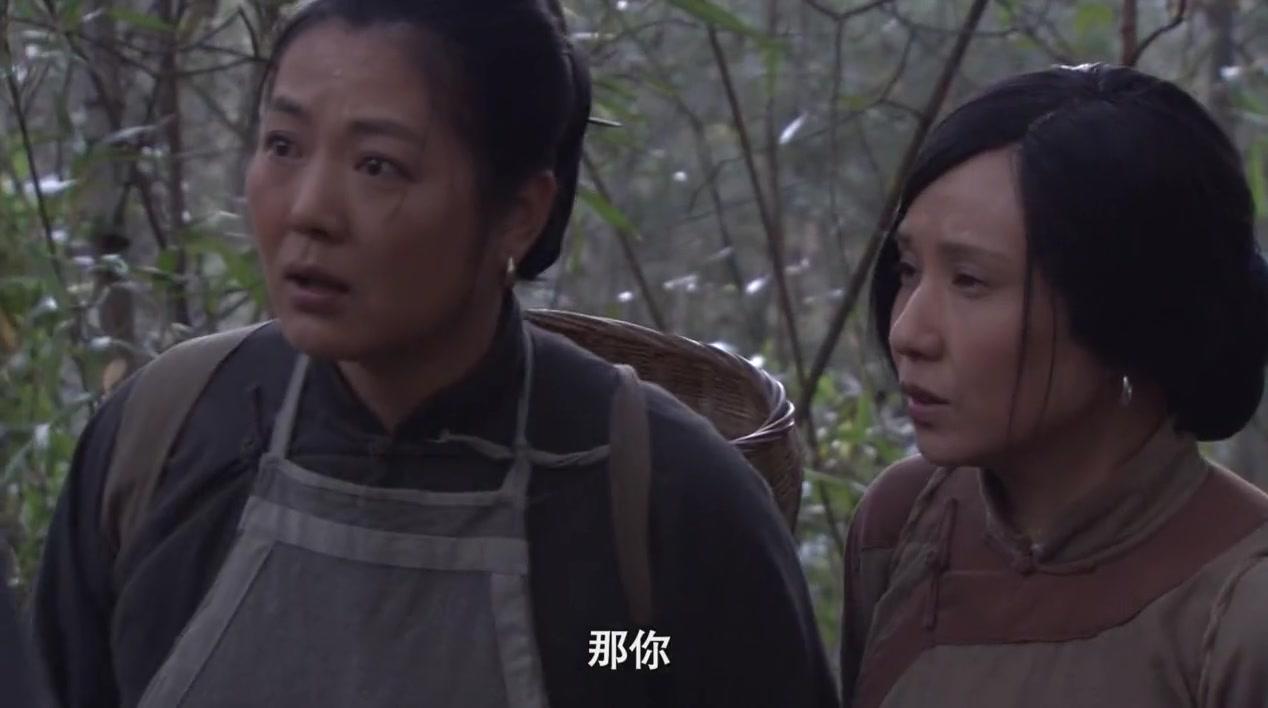 党的女儿 第17集视频封面图