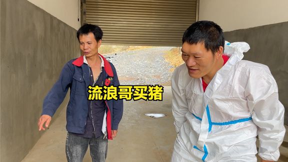 带流浪哥去养殖场买猪,毛猪16块多一公斤,进去穿防护服还要消毒