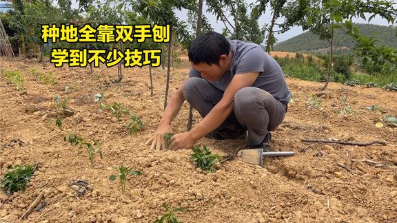 流浪哥种地全靠双手刨,种辣椒、茄子有技巧,热爱简单的田园生活