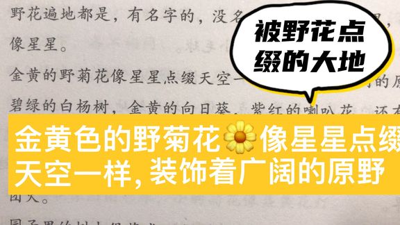 优美句子积累:金黄色的野菊花🌼像星星点缀天空一样,装饰……