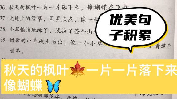优美句子积累:秋天的枫叶🍁一片一片落下来,像蝴蝶🦋