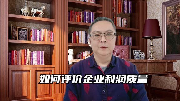 如何评价企业利润质量