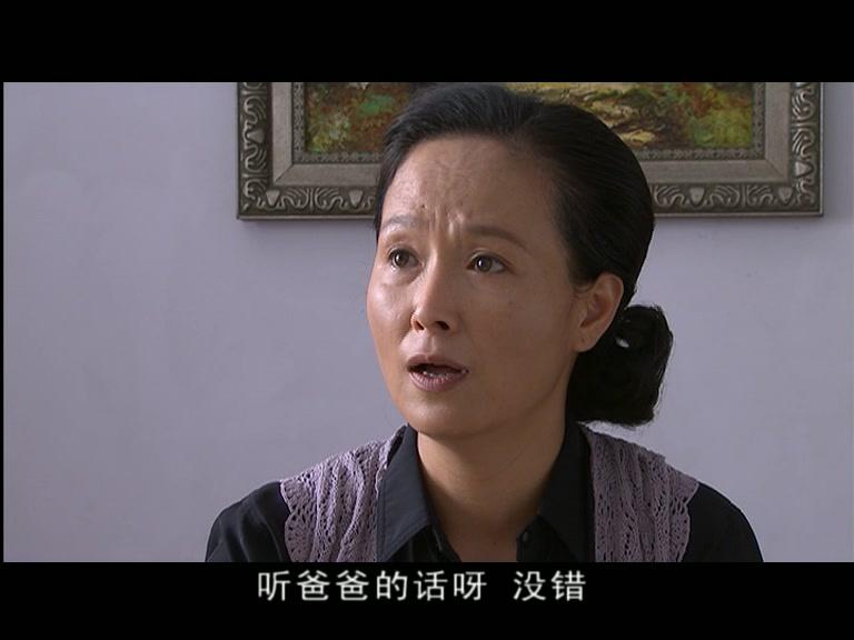 美丽的南方 第1集视频封面图
