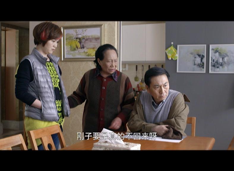 第三种幸福 第28集视频封面图