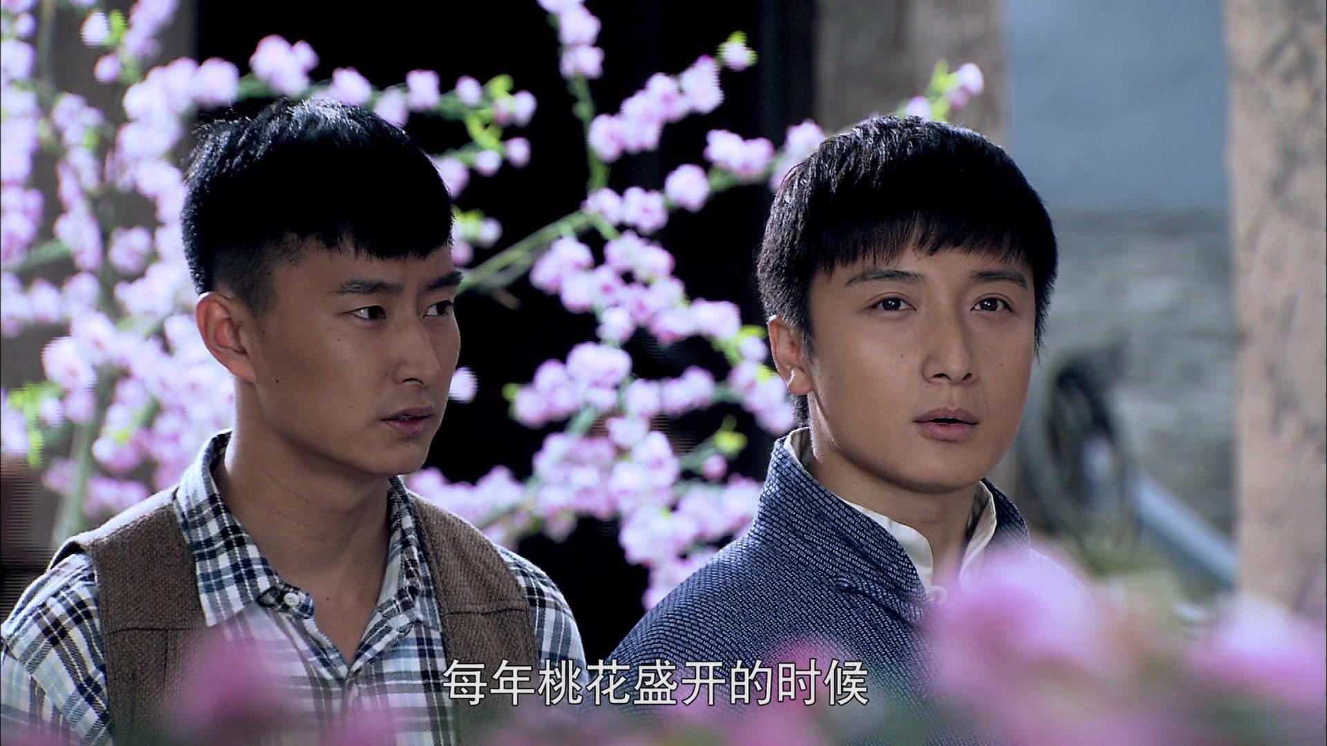 风雨桃花镇 第32集视频封面图