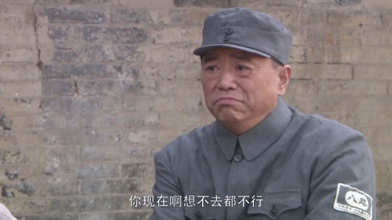 聂荣臻 第8集视频封面图