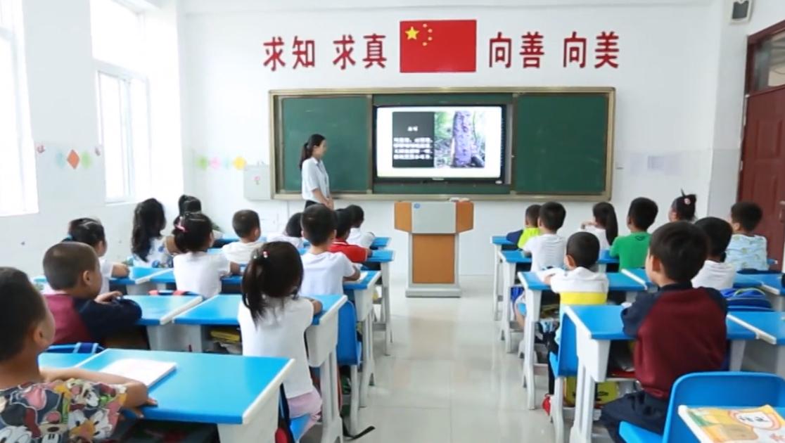 《法治天下 2019》第150集视频封面图