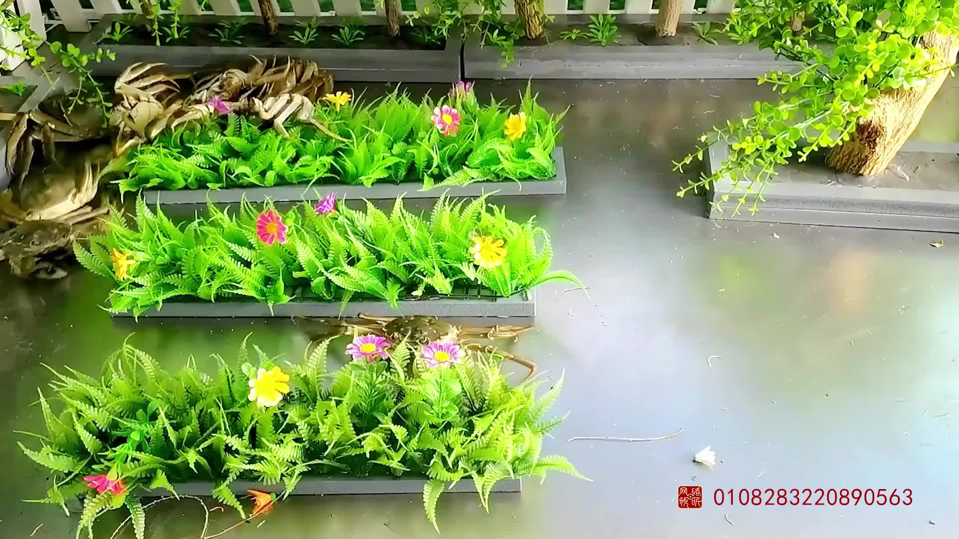 怪小逗之奇趣校园 第168集视频封面图