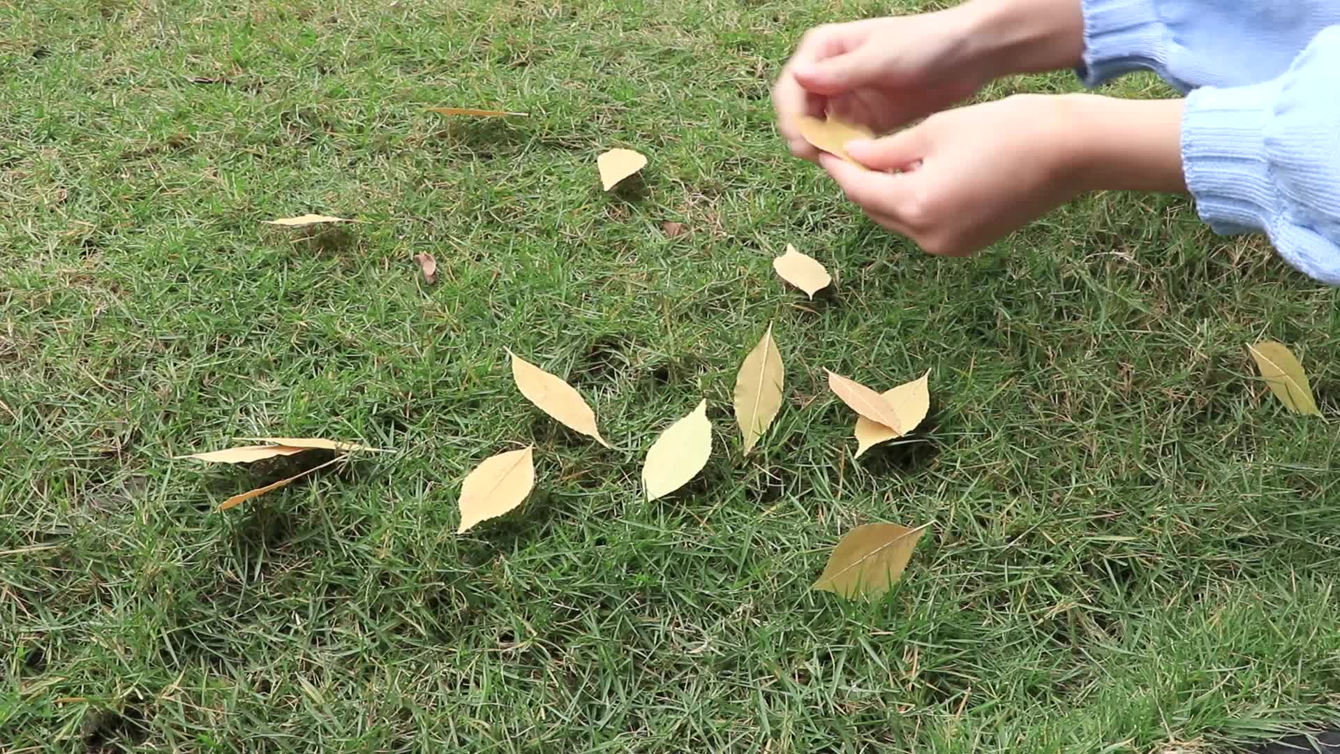 伶可家族小葩 第1集视频封面图