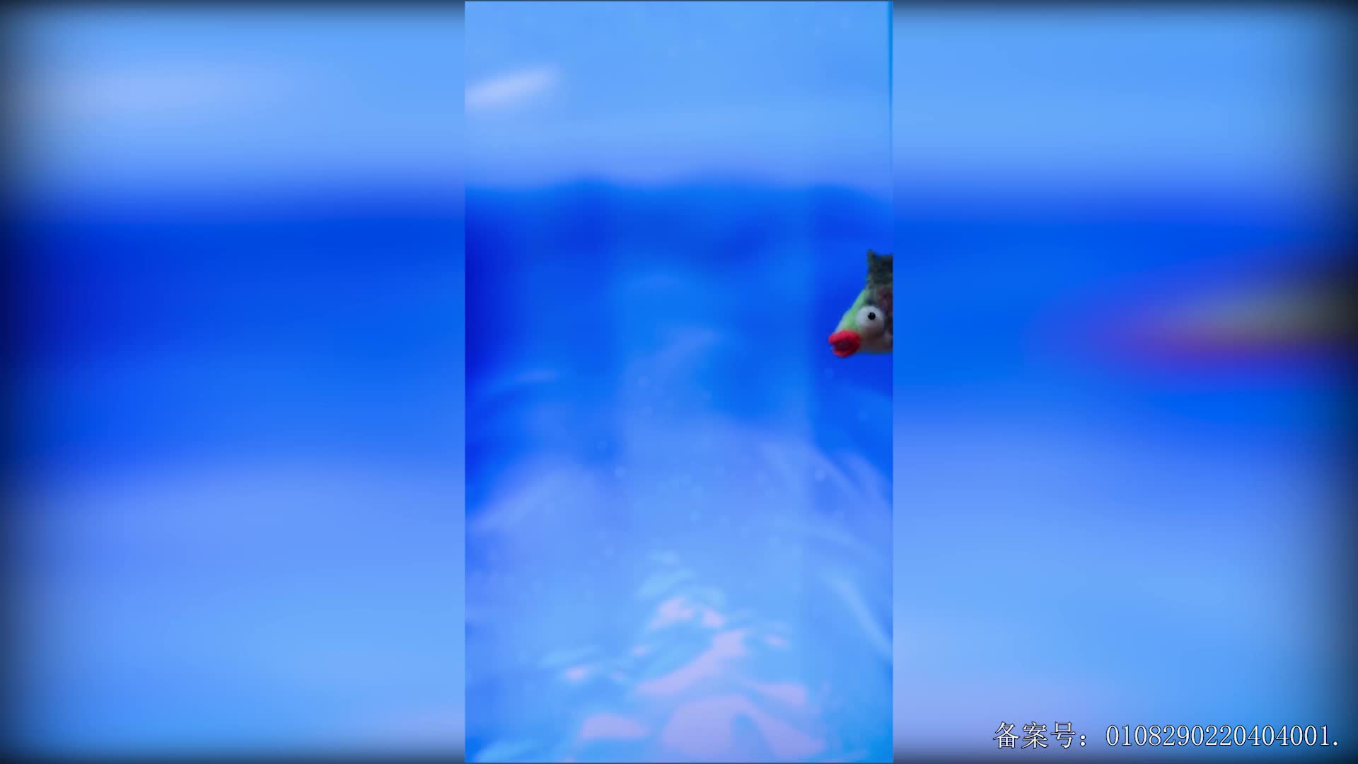 红胡子定格动画 第12集视频封面图