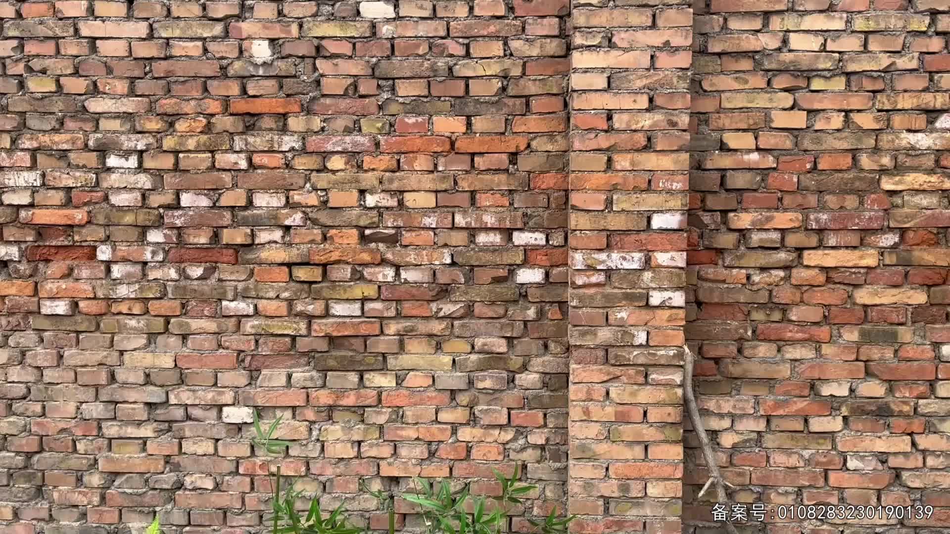 儿童消防工程车救援 第1集视频封面图