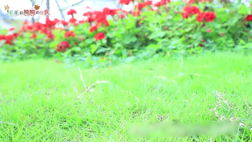 咖宝车神之趣味探险队 3集