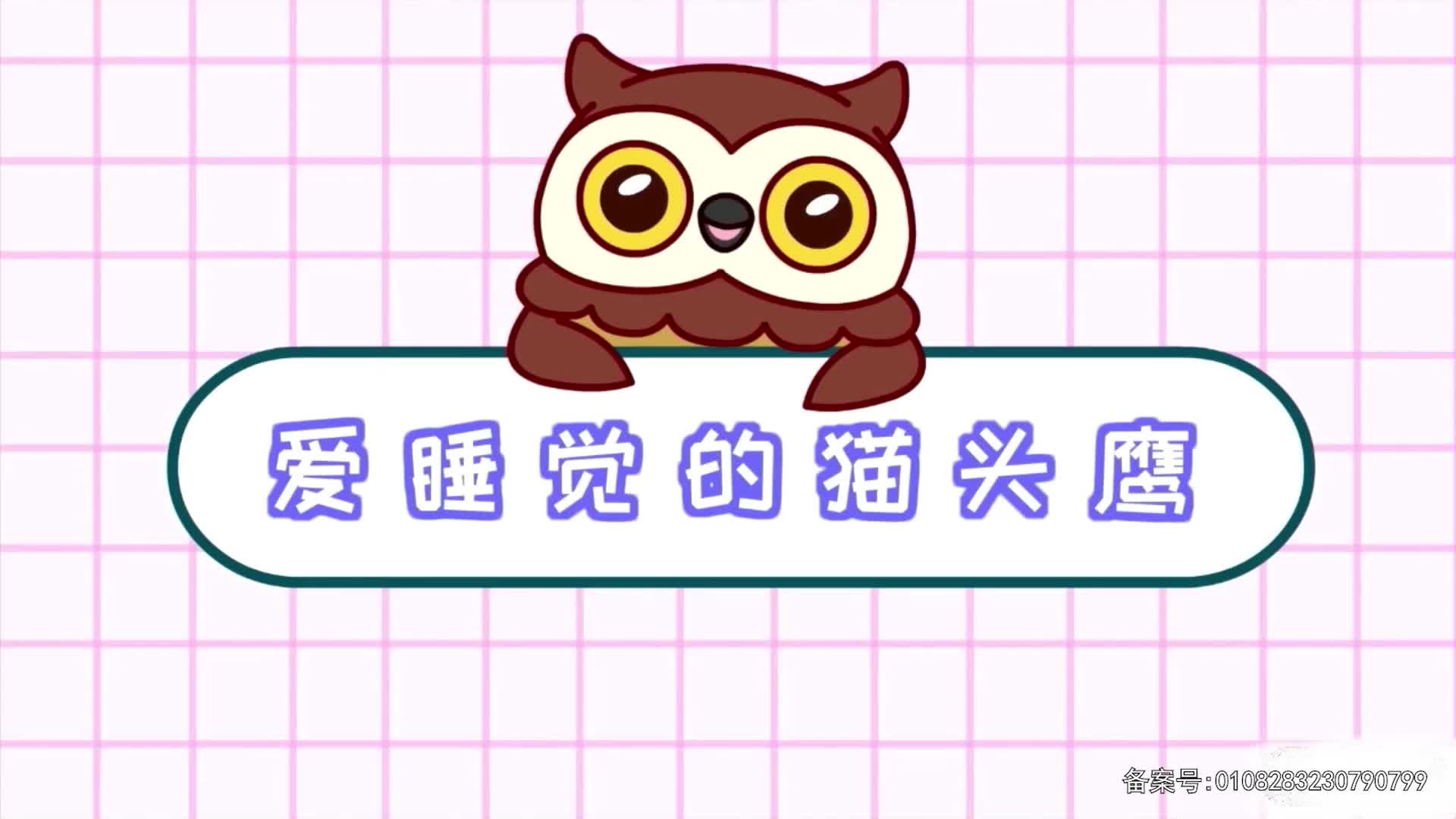 丁格镇动画全集 第91集视频封面图