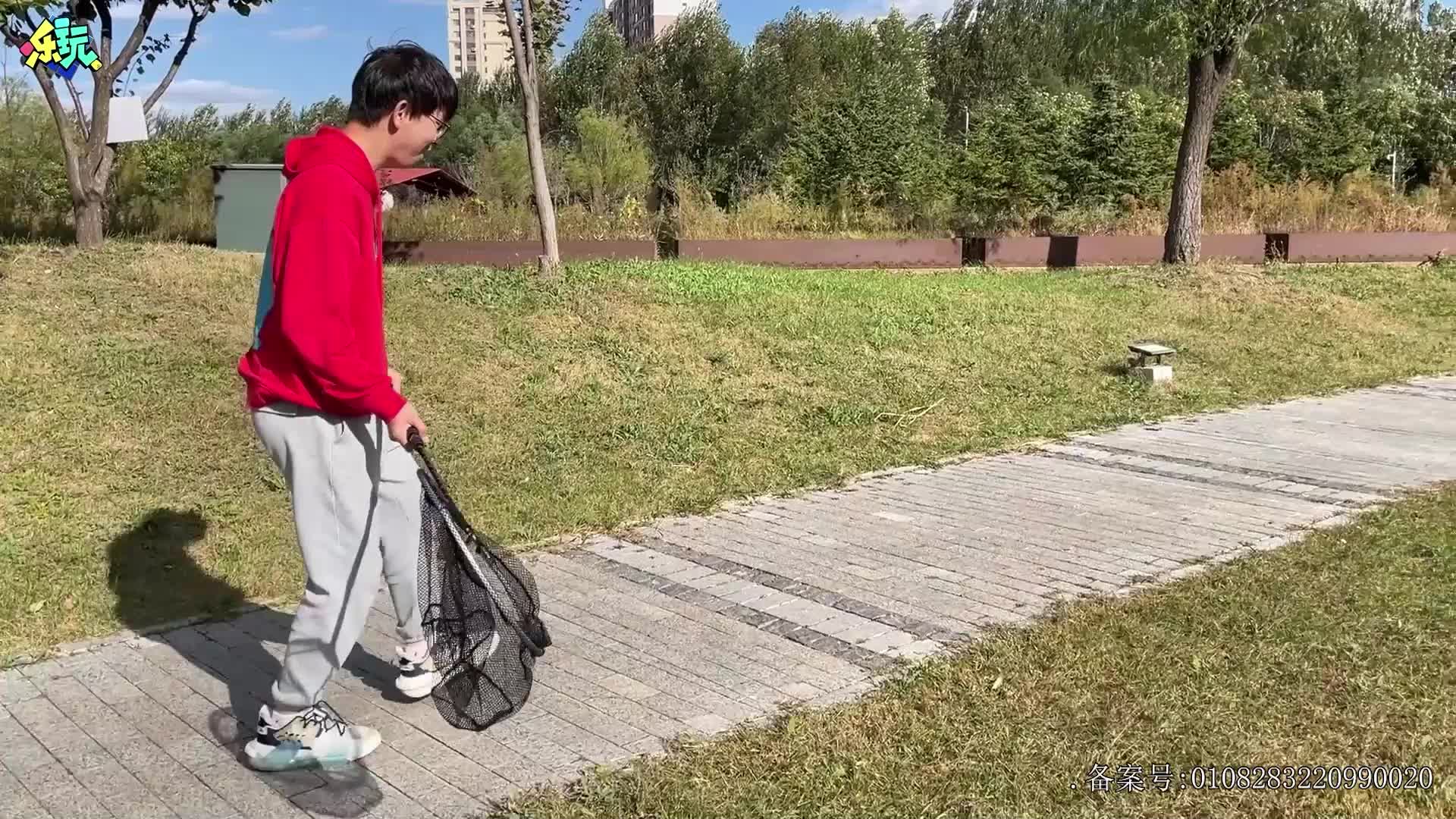 乐玩恐龙大冒险 第10集视频封面图