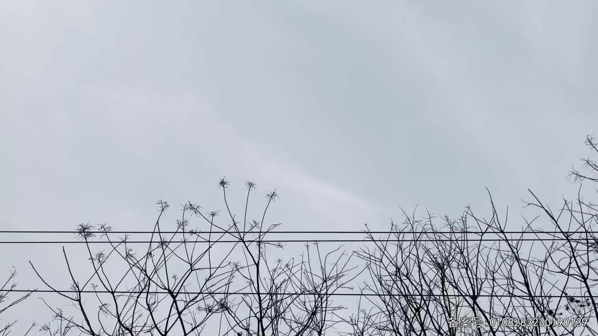 儿童消防工程车救援 第4集视频封面图