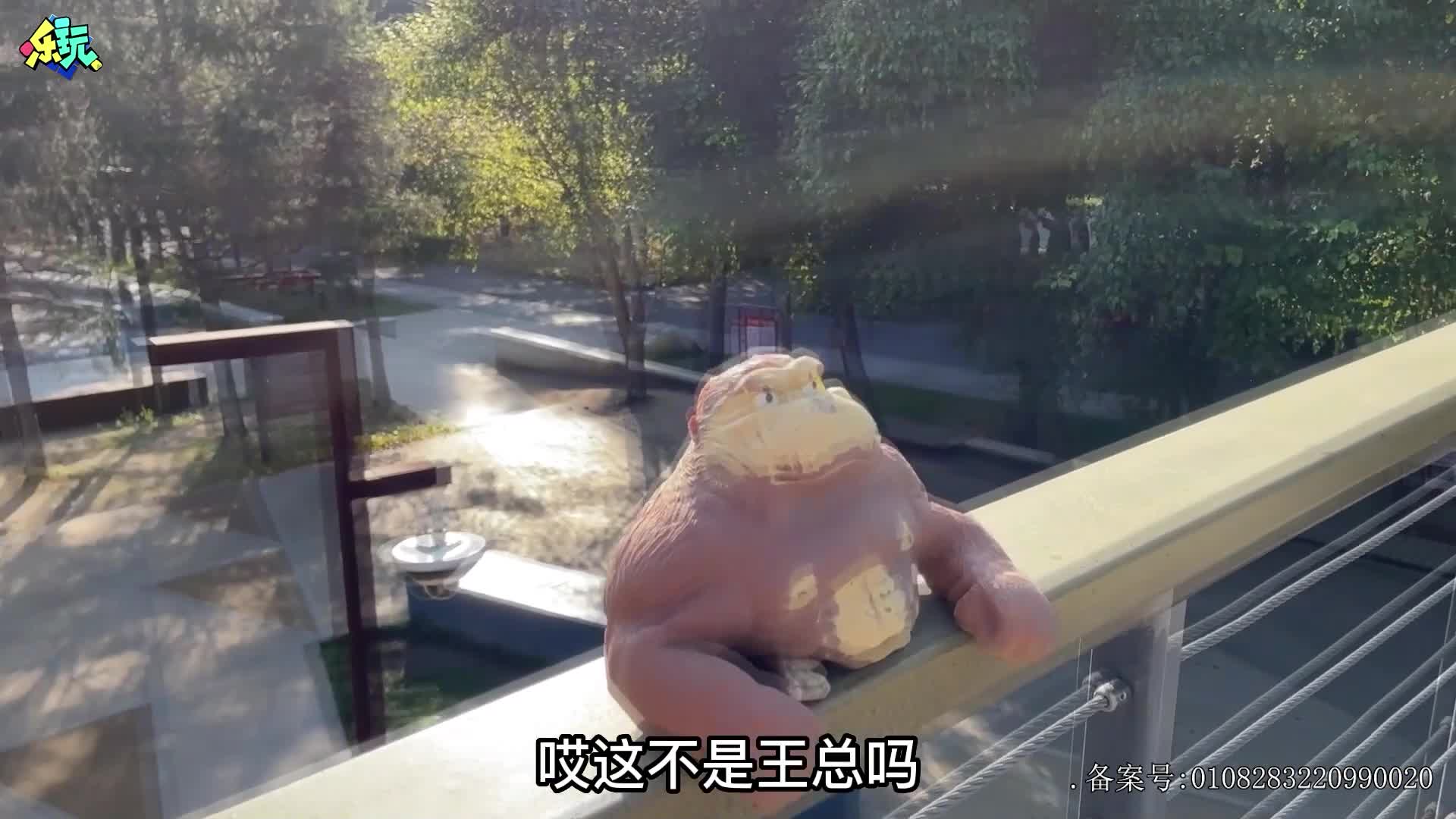 乐玩恐龙大冒险 第8集视频封面图