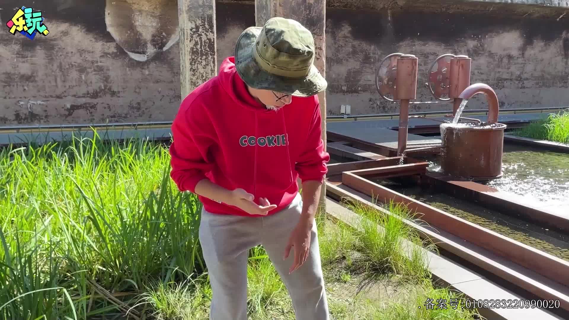 乐玩恐龙大冒险 第32集视频封面图