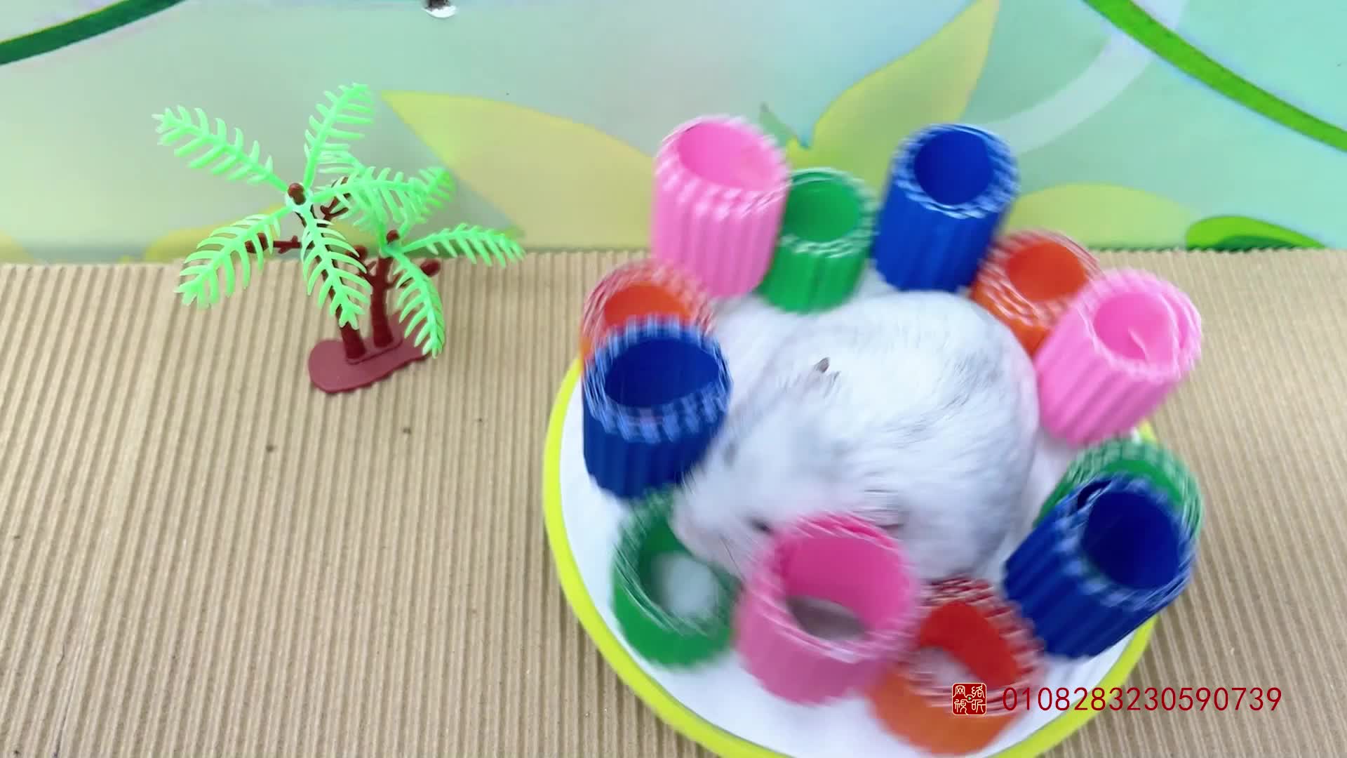 仓鼠勇闯恐龙世界 第4集视频封面图