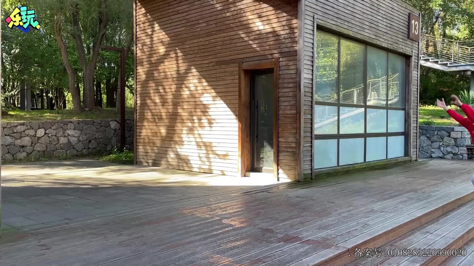 乐玩恐龙大冒险 第22集视频封面图