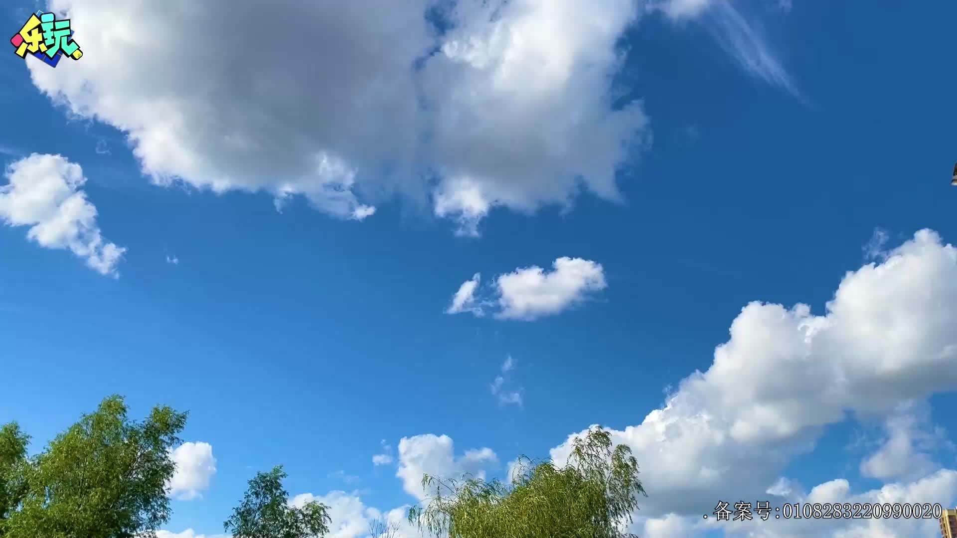 乐玩恐龙大冒险 第6集视频封面图