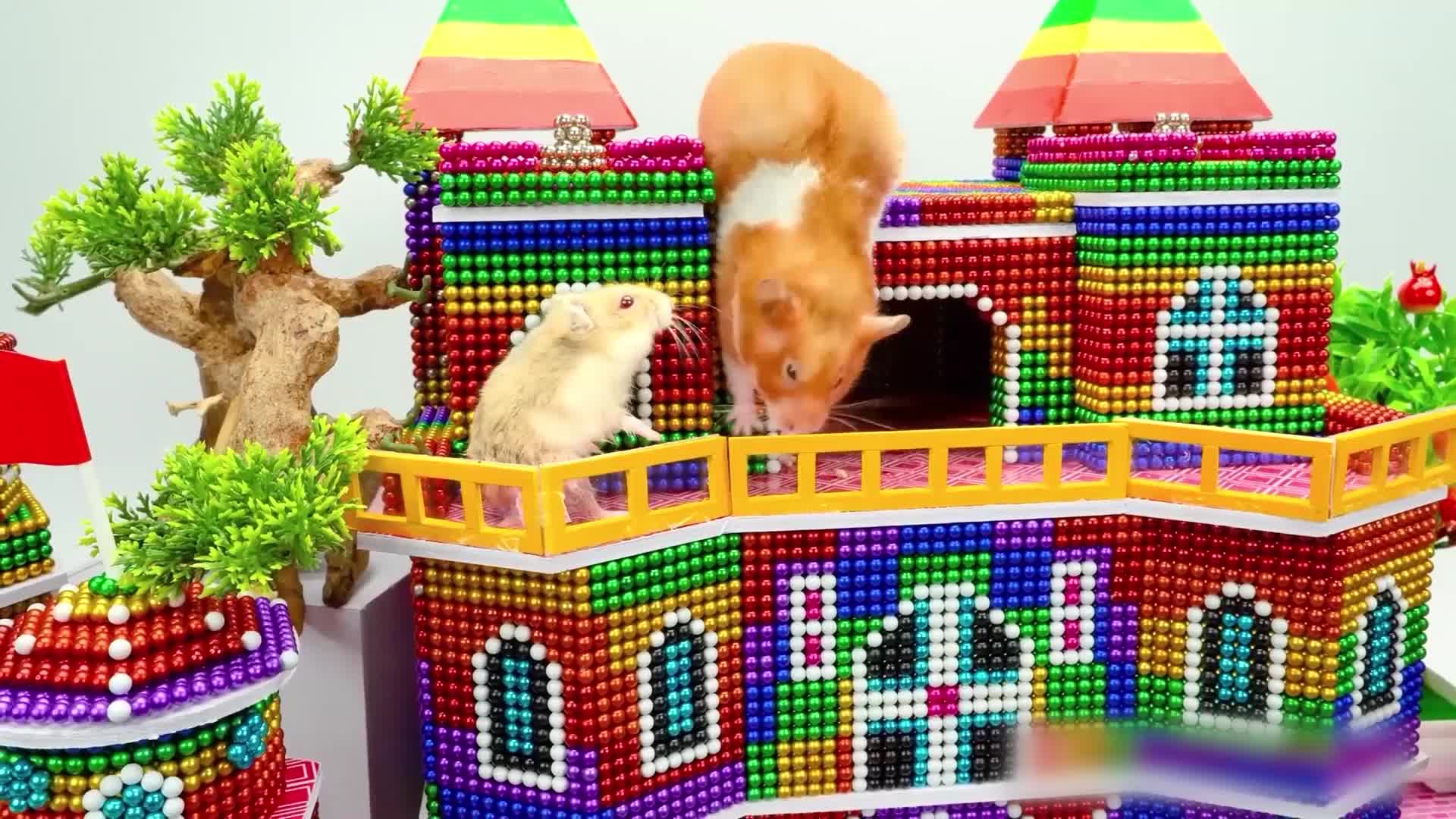 小仓鼠的磁力巴克球城堡 第59集视频封面图