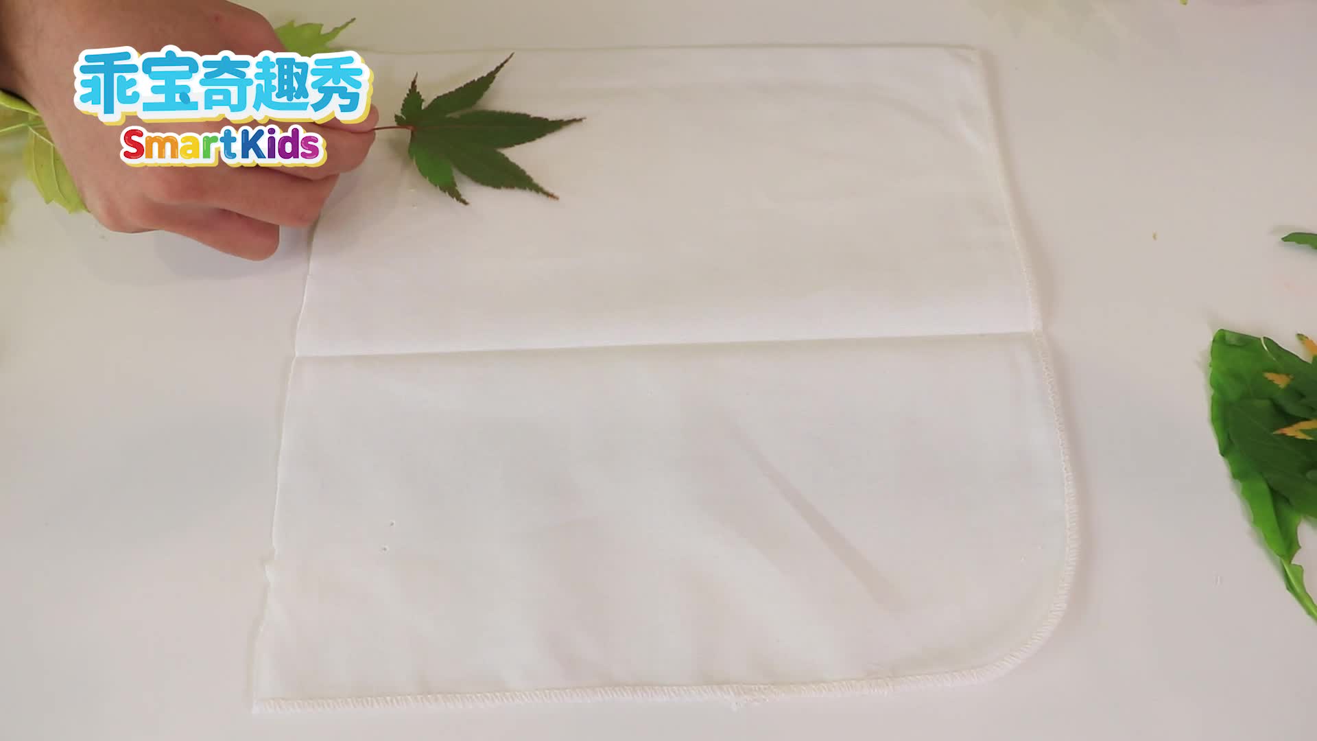 乖宝奇趣秀 第7集视频封面图