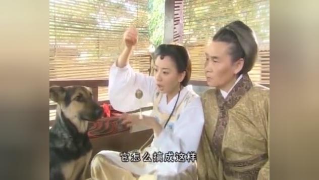 神医侠侣 第8集视频封面图