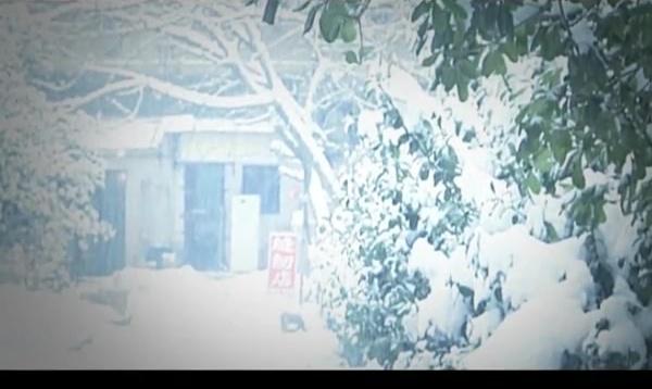 哑女 第20集视频封面图