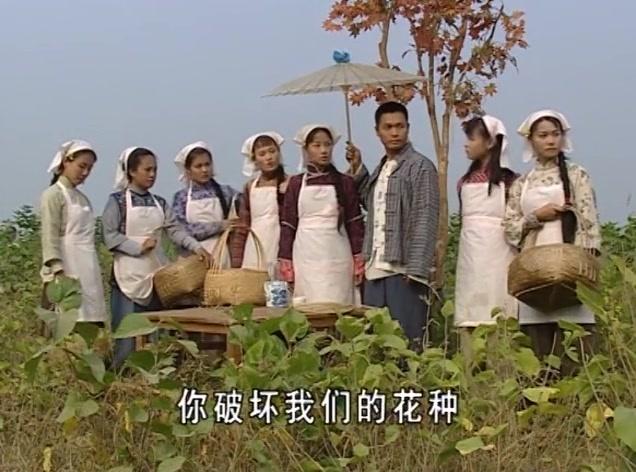 春蚕织梦 第33集视频封面图