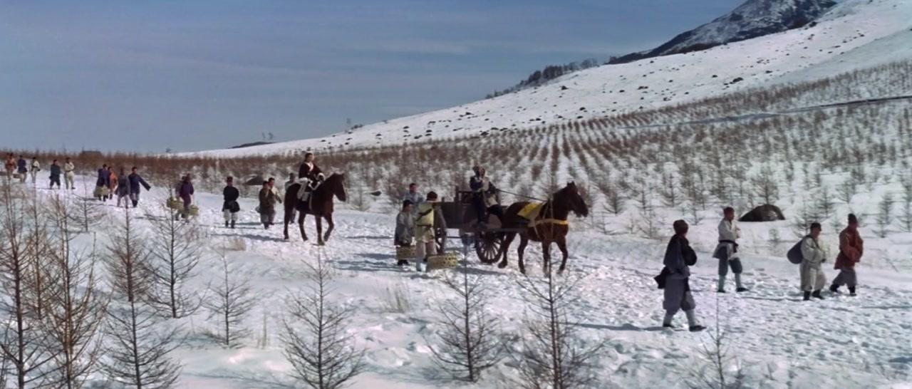 影子神鞭视频封面图