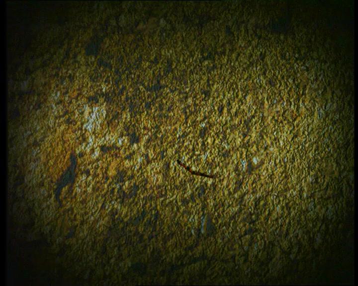 公民良心 第5集视频封面图