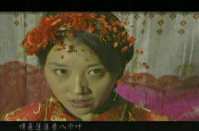 荷花淀、女人和枪 第2集视频封面图