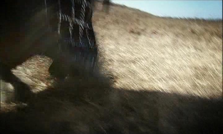 正德演义 第17集视频封面图