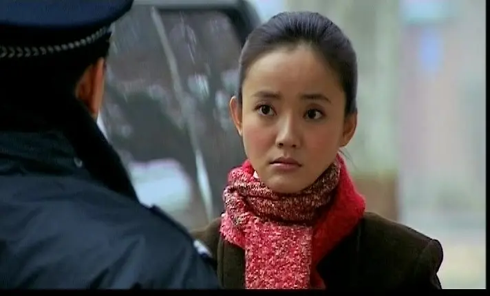 美丽人生 29集