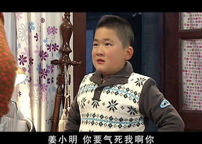 鸡毛蒜皮没小事第二部 第24集视频封面图