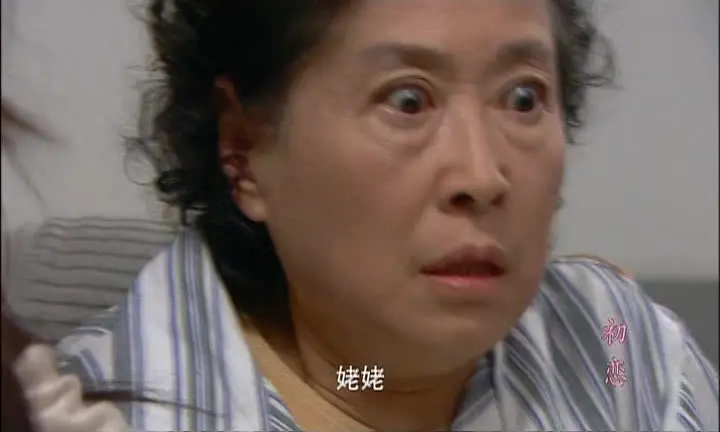 初恋 22集