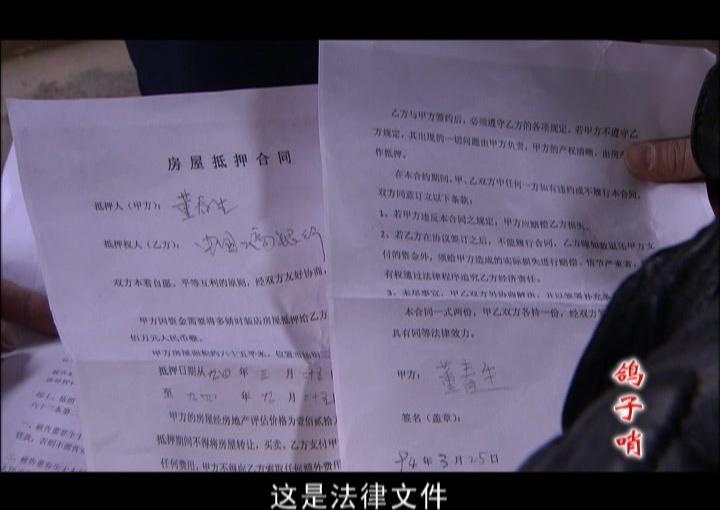 鸽子哨 第36集视频封面图