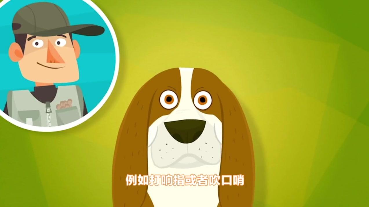 螺丝钉 第81集视频封面图