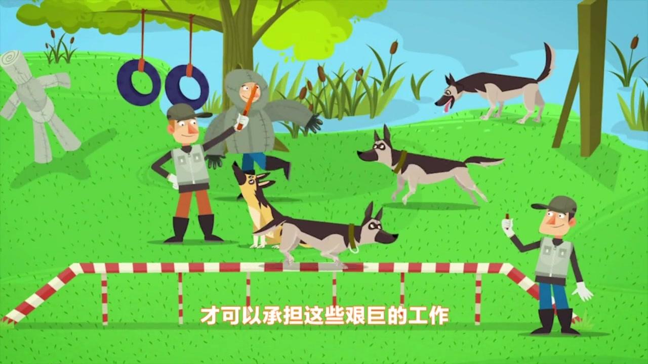 螺丝钉 第82集视频封面图