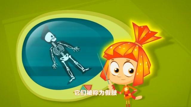 螺丝钉 第70集视频封面图