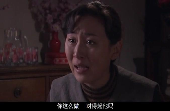 人间风雨情 第30集视频封面图