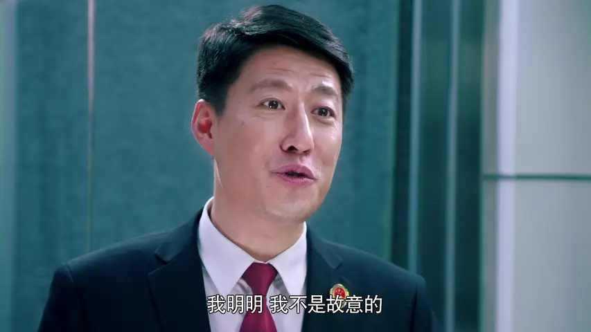 人民检察官 31集
