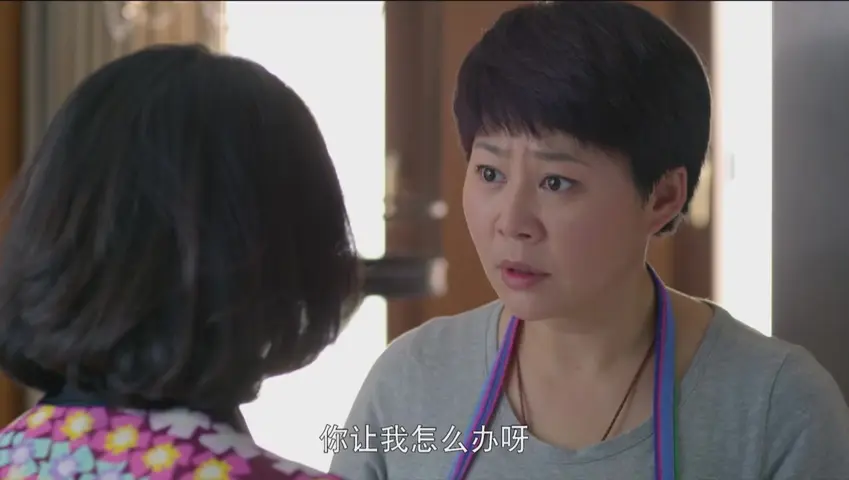 二胎 25集