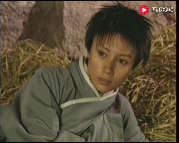有情鸳鸯无情剑 第19集视频封面图