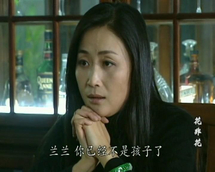 花非花 第19集视频封面图