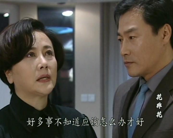 花非花 第3集视频封面图